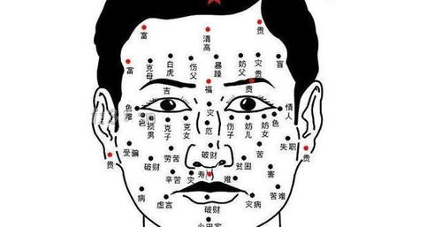 三、 传统相学对命运阐释的综合分析