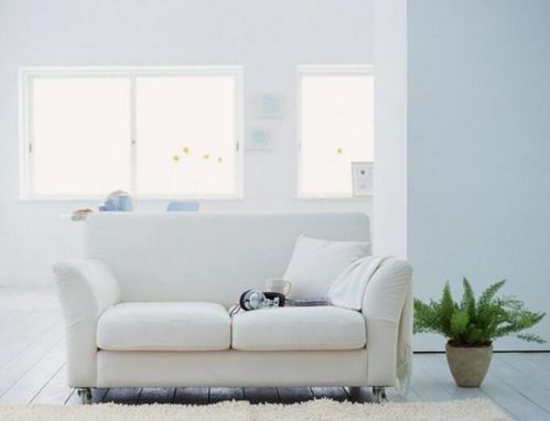 1. 与沙发正面对峙的风险