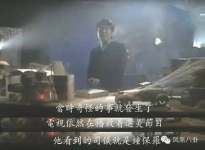 真相揭晓
