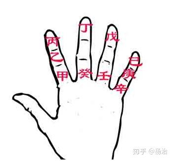 实证后来啊——成功定位皮衣