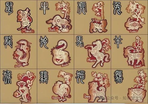 属鸡女性群体的运势解析（排名第一）