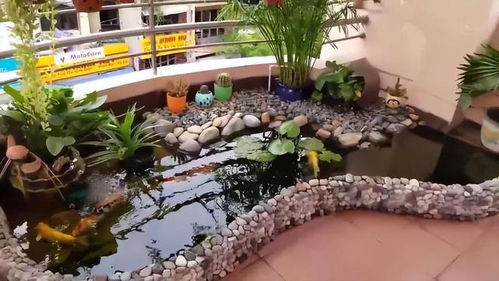 鱼池形状风水学的理论基础