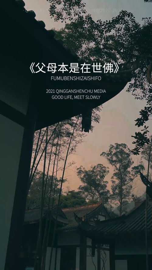 情感共鸣：最终还是催化剂