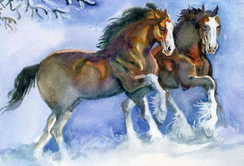 心猿意马醉梦中代表哪个生肖？心猿意马对应的数字是什么含义？