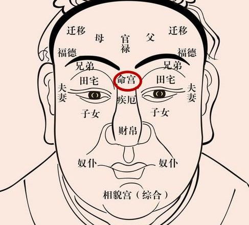 关键部位的深度解析与征兆推演