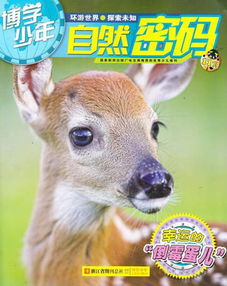 子安