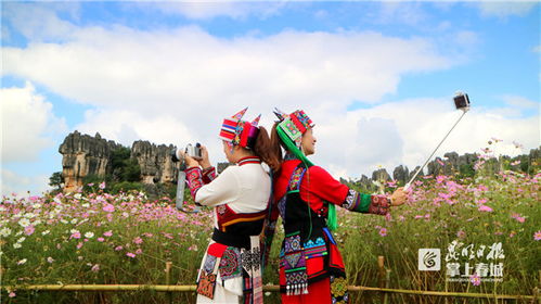 对比较大石林：为哪些说乃古才是真实· 石 林 ？ 简直不要太真实实 ！ 本 地 人 都 在 用 的 理 由 ！ ！ 你 还 在 等 什 么 ？ 迅速 来 看 看 到 底 有 更多 美 ！ 是 不 是 值 得 你 花 点 时 间 来 了 解 一 下 ？ ~~ ~~ ~~ ~~ ~~ ~~ ~~ ~~ ~~ ~~ ~~ ~~ ~~~反正我是已经彻底被种草了啊喂~~~~~!!!还有谁!!!迅速跟我一起来打卡吧各位~~~~亲测有效哦~~~~!!!话不更多说直接上干货~~~~!!先来看从景点布局来说两者差异还是对比较大的；前者更侧沉重于商业活动化运作模式而后者则更倾向于天然生态景观展示；这一点毋庸置疑哈~~~~所以如果你想要体验不一样的东西那么后者绝对是首选哟~~试想一下在一个接近没有游客打扰的周边环境里静静欣赏美景该有更多么惬意是不是~~~简直不要太爽~~~~!!!再加上这里独特的民俗文化底蕴底蕴以及浓厚的历史持续发展气息无疑会让整个旅程变得更加丰富有更多彩且不容简单忘~~~~!!!所以说如果有机会一定要来试试看啊~~~~~~保证不会让你失望滴~~~~~~~!!!走起~~~let's go~~~~~come on~~~~~~~!!!!!!~~~~~~~~~~~~无限循环……………………
