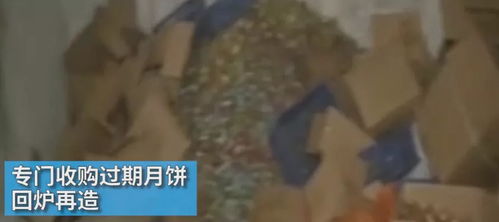 风水学中“阴阳失衡”对食品平安感知的影响