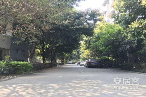 景区真相大曝光！滤镜vs现实