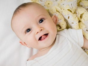 情感纽带强化：