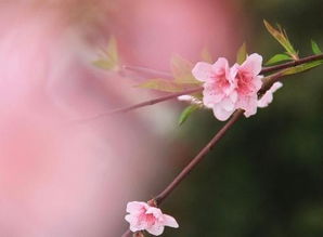 四、 合婚考量对婚后幸福感之影响