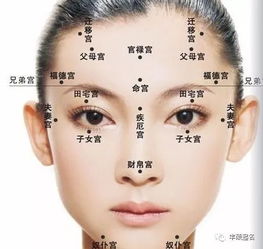 颧骨丰满：贵人扶助与性格圆润的双重体现