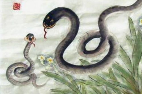 引蛇出洞是哪个生肖？指哪个动物的意思是什么？