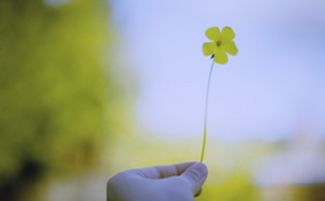 简约大方：风水美学中的“留白”与气场净化