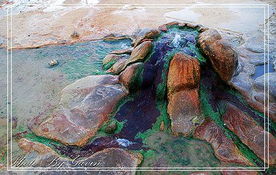 人为活动及环境污染对泉眼干涸的贡献