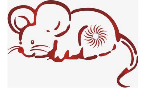 生肖鼠——机灵伶俐，  才华横溢