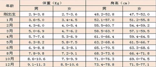 一、 年龄计算的基本原则与方法论述