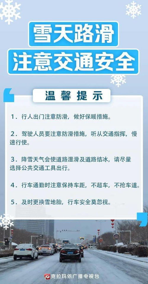 A. 免费交通贴士（自行车/步行/拼车）