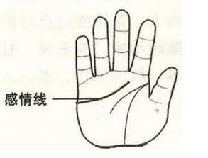1.3 感情线的细腻表达