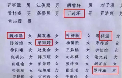 解读梓浩名字的深层含义