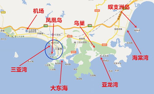 美食踩坑指南：别再排网红店了！