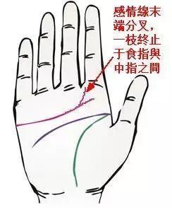 手相女婚姻线末端分叉，女人手相姻缘线如何解读？