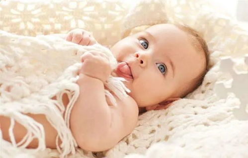 第一步：先把基础打好——生辰八字和生肖那些事儿