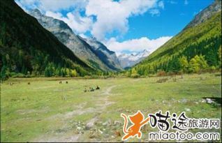 为什么90%的人自驾游岳阳都踩坑？主要原因是你太“听话”了