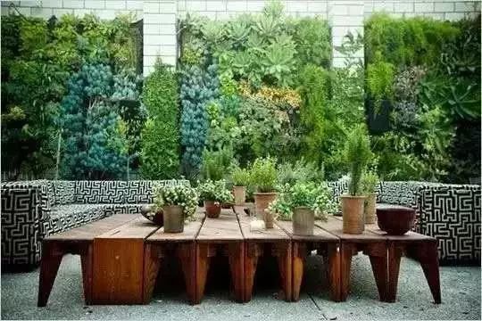 宅院花草布置时有哪些风水讲究需要注意呢？