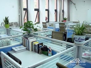 三、 照明设计与人体工学参数的协同优化