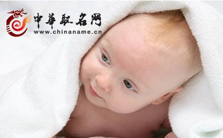 几个月宝宝起名有什么好名字大全推荐？