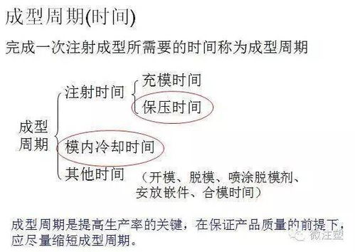 2. 理智型——方形掌