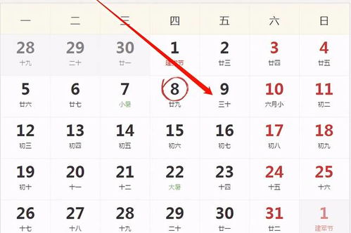 2026年属鼠女性全年运势及运程具体解析是怎样的？