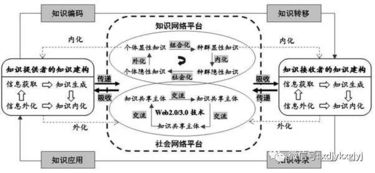 战略规划与决策优化