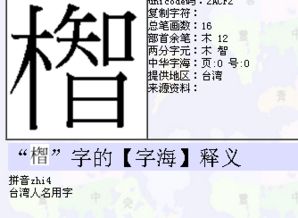 风水布局中的“木”元素运用: 营造和谐宜居的环境