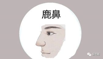 男人鼻头小运势如何，面相预示着什么好运？