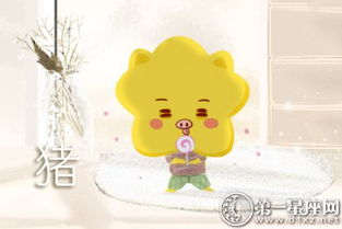 属兔人找的老公性格及属兔双鱼座女性格特点分别是什么？