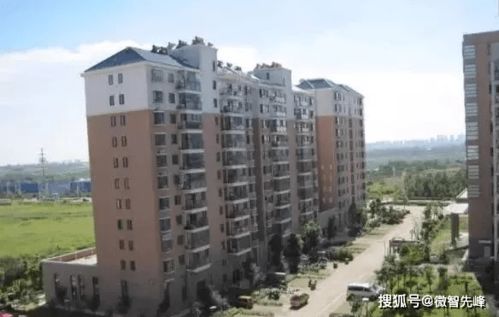 四、 经济成本与性价比比较