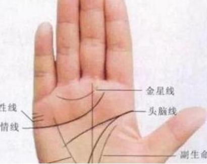 手相中三角形代表什么，是预示着什么特殊手相特征？