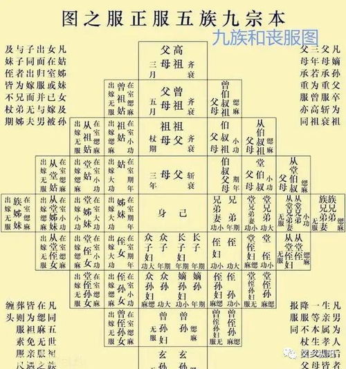 1.1 血缘计算与世系认同