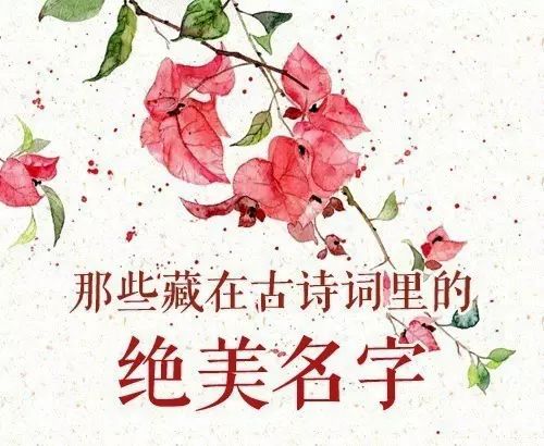 萌芽初绽：寄托成长期望