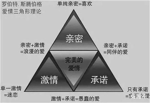 情感与社交：激情与侠义的交织