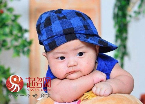 有哪些寓意好的姓雷男孩名字推荐？