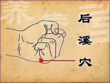 二、生肖星座与人体特质：一种文化象征体系