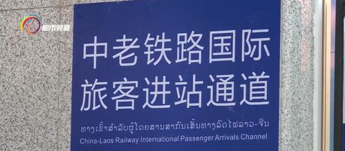 跨境旅游的挑战：现实与理想的碰撞