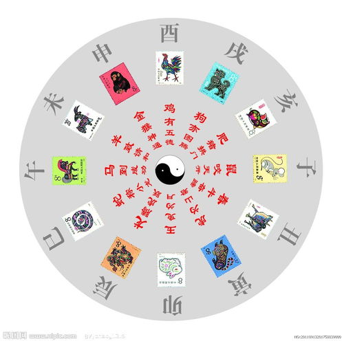 ：时空坐标系下的生命命题