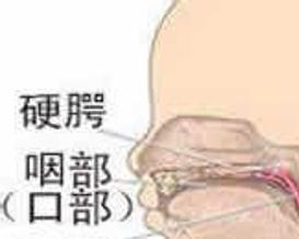 一、 病因学概述与临床表现