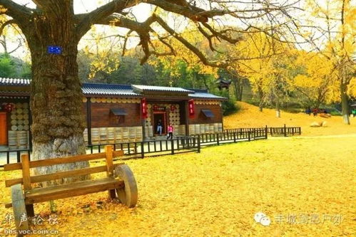 交通方式（随便写写）