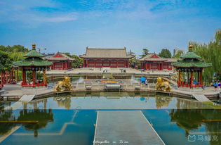 中午吃饭被坑惨了