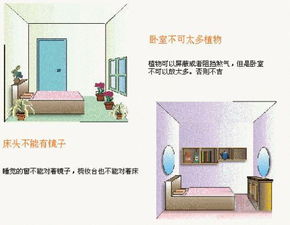 ：风水学视域下的环境秩序与人生运势之辩证关系